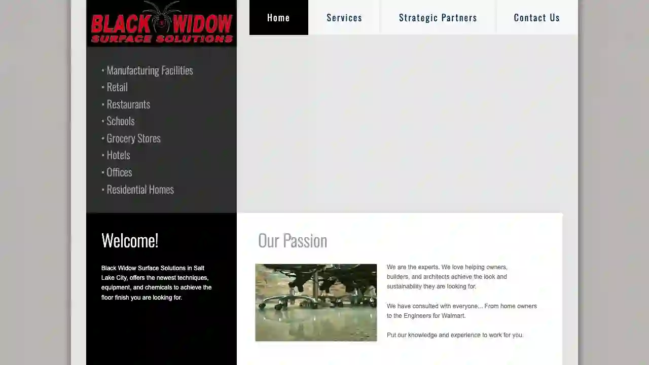 Black Widow Surface Solutions